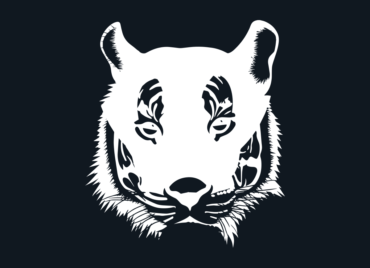 Black Tigers - Cyber Defense
